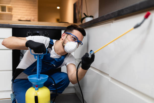 Best Best Pest Control Companies  in Oak Grove, MO