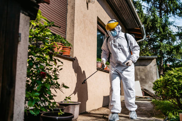 Best Residential Pest Control  in Oak Grove, MO