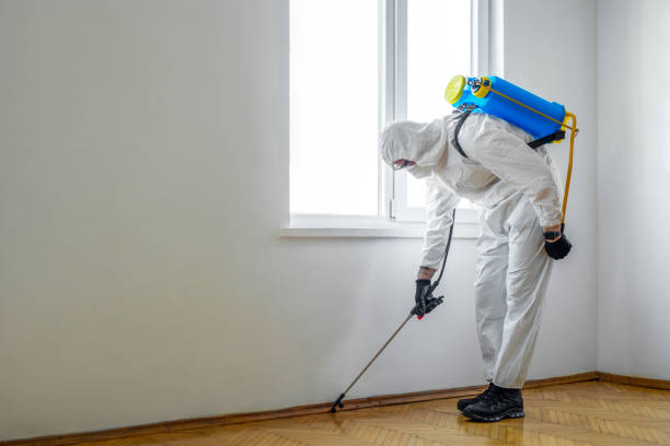 Best Best Pest Control Companies  in Oak Grove, MO