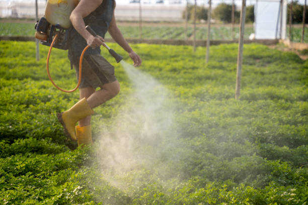 Best Best Pest Control Near Me  in Oak Grove, MO
