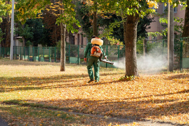 Best Best Pest Control Companies  in Oak Grove, MO