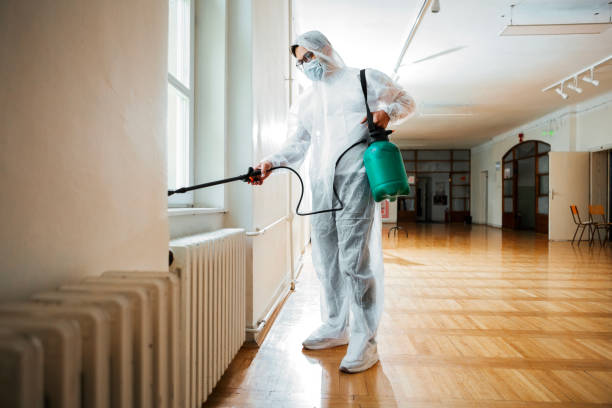 Best Wasp Removal Services  in Oak Grove, MO