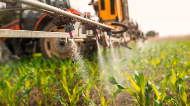 Best Wildlife Control Services  in Oak Grove, MO